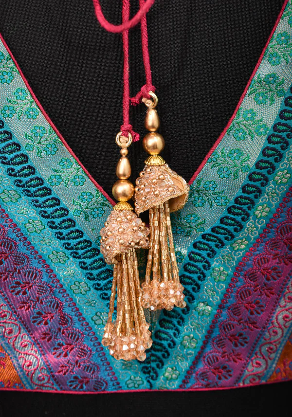 beautiful Multicolor with Banarasi  printed  & V Neck blouse - Image 5