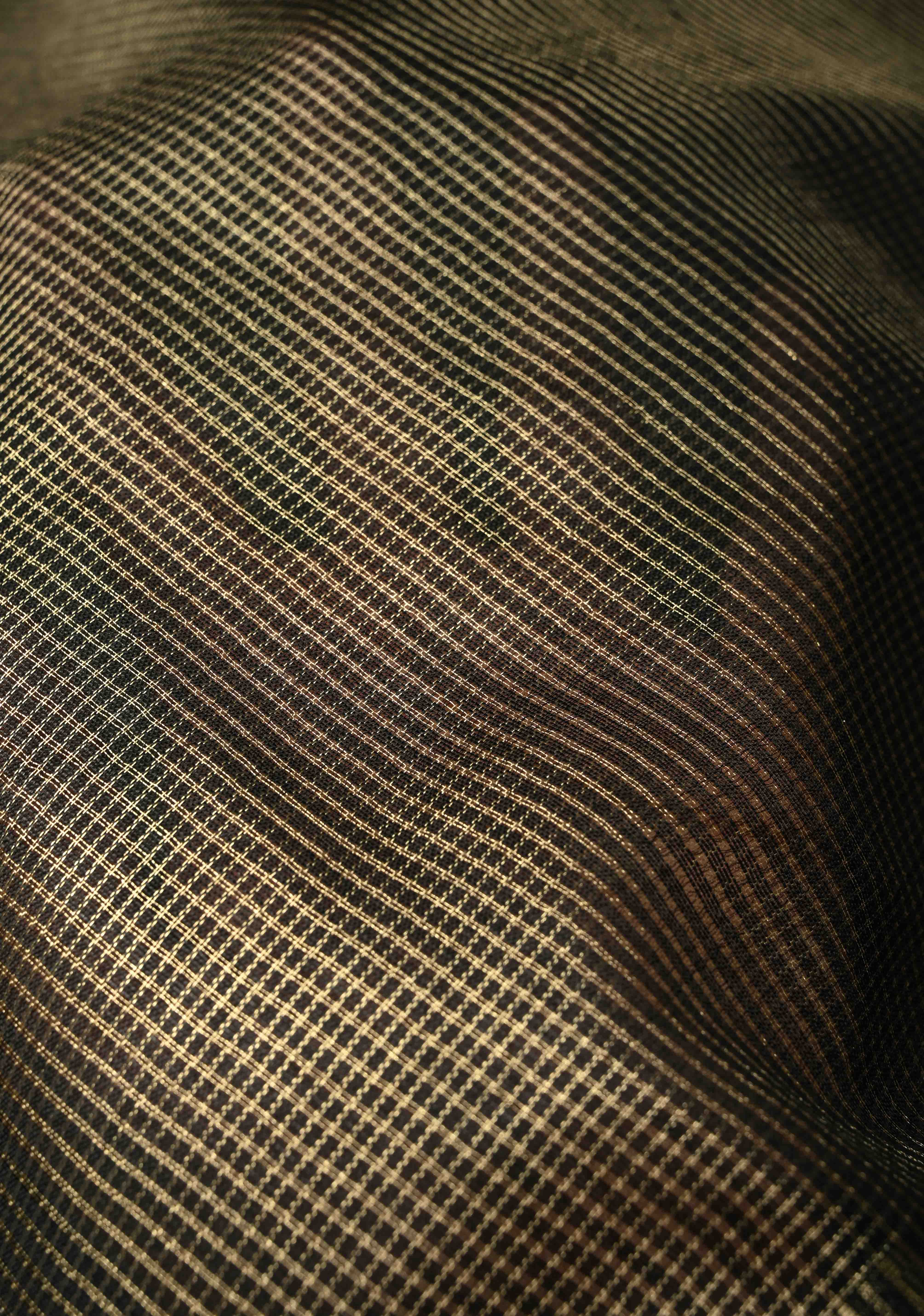 Black Semi Tissue Saree with Zari Border | Shobitam - Image 5