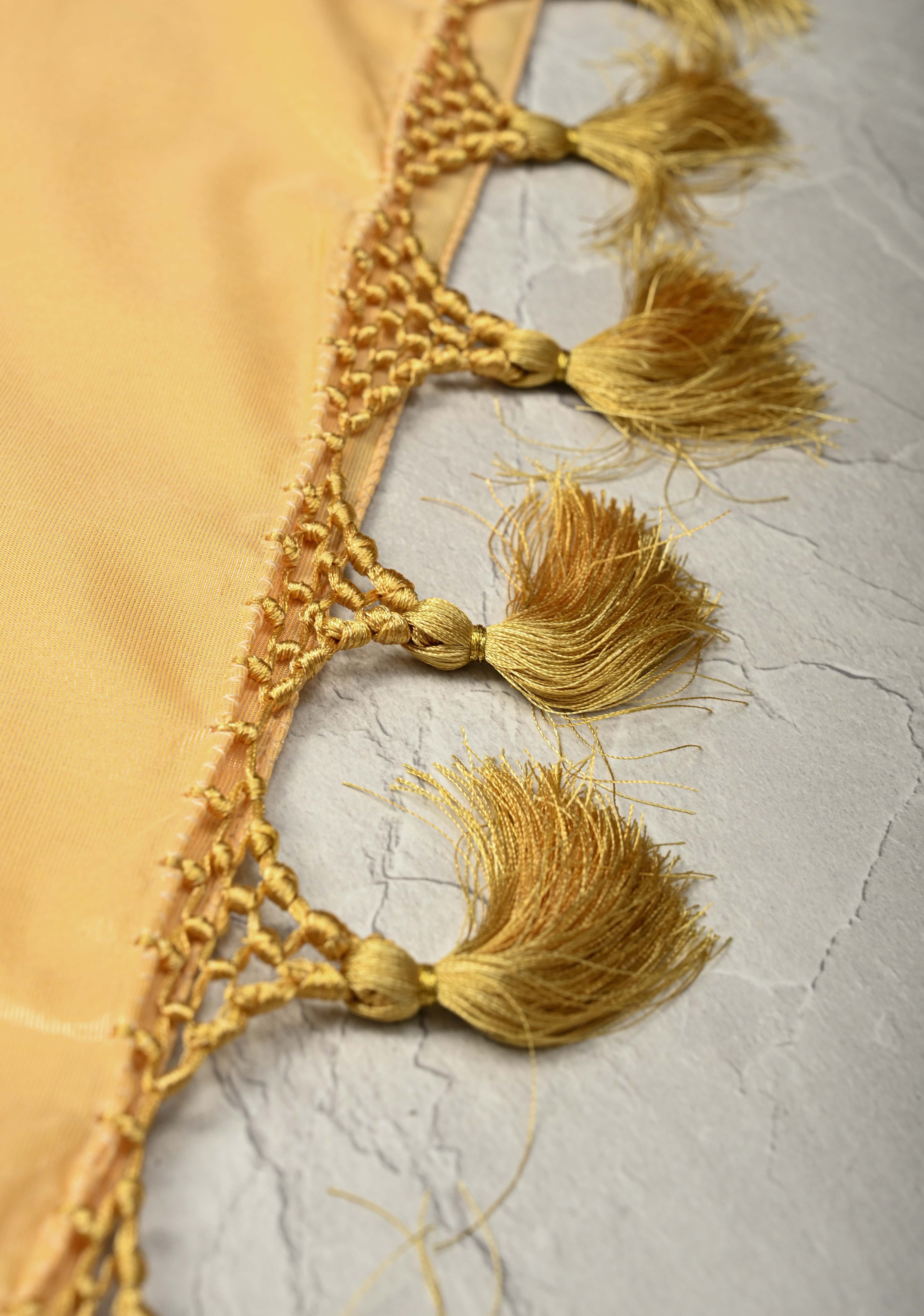Light Gold Tissue Semi Silk Saree with Leheria Zari Floral Vine Pattern and Zari Border | Shobitam - Image 8
