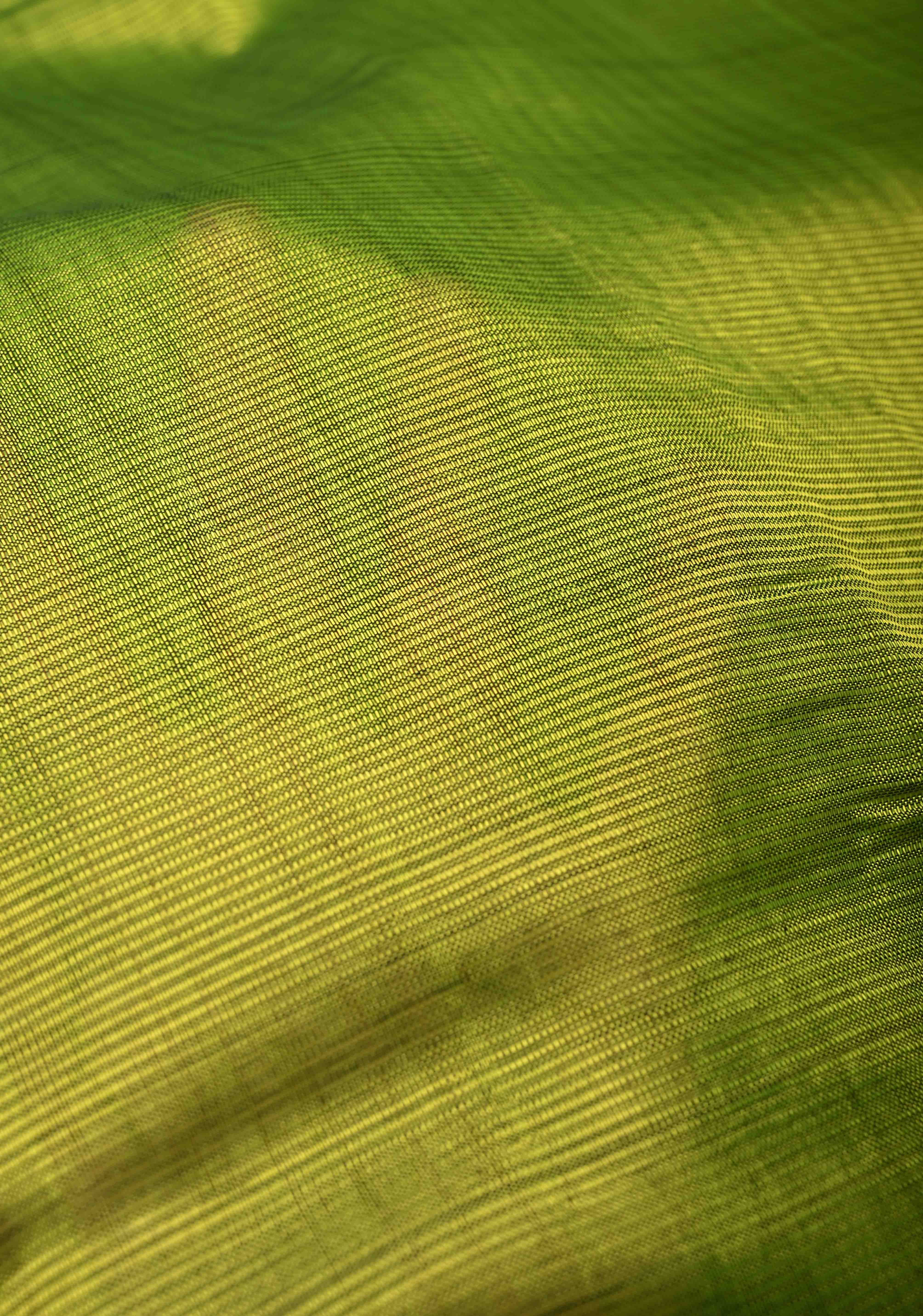 Moss Green Handwoven Mangalagiri Silk Cotton Saree with Temple Wide Zari Border | Shobitam - Image 6