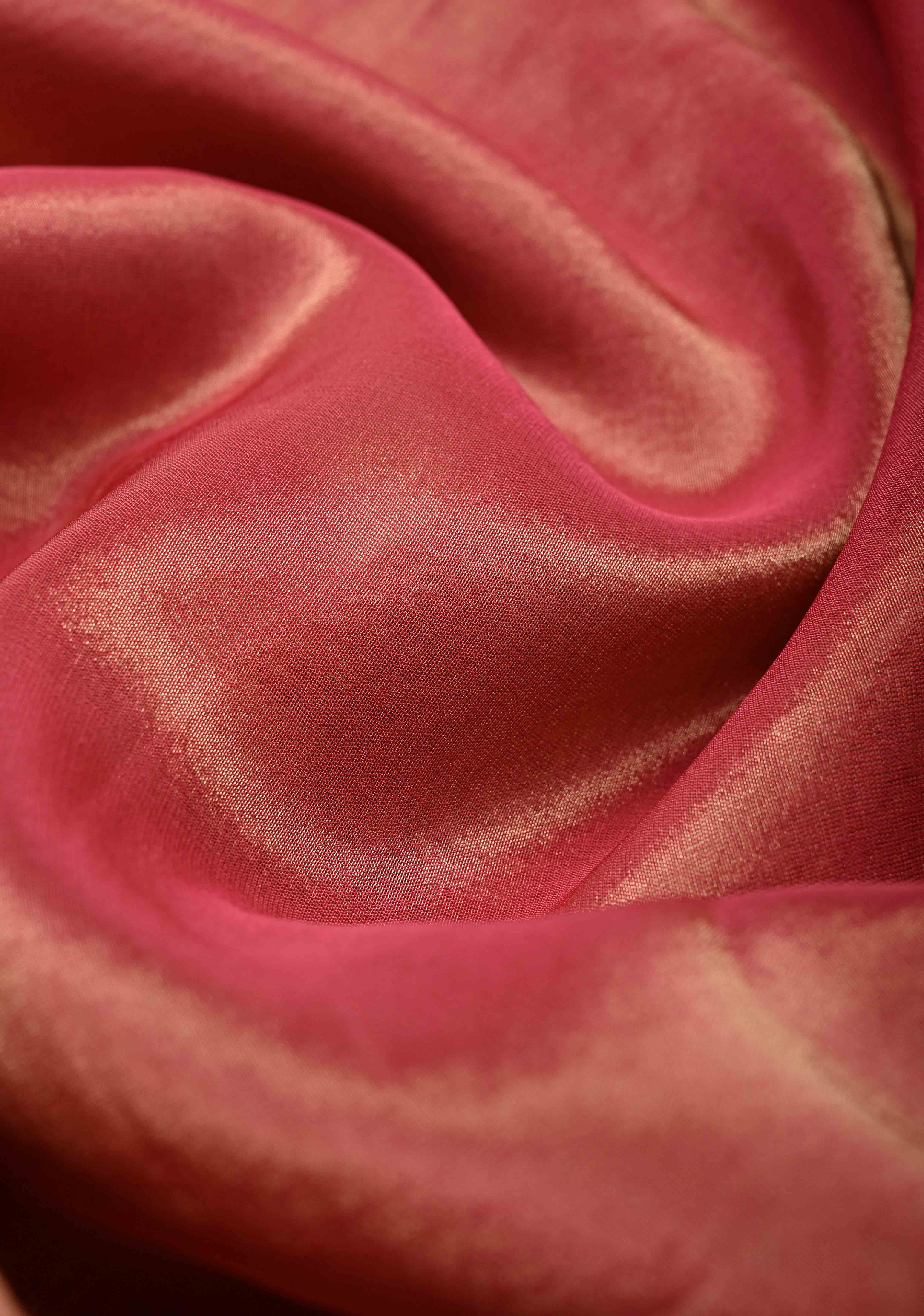 Rose Pink Vegan Organza Tissue Saree with Applique-Moti, Sequins Hand Embroidery and Scallop Border | Shobitam - Image 4